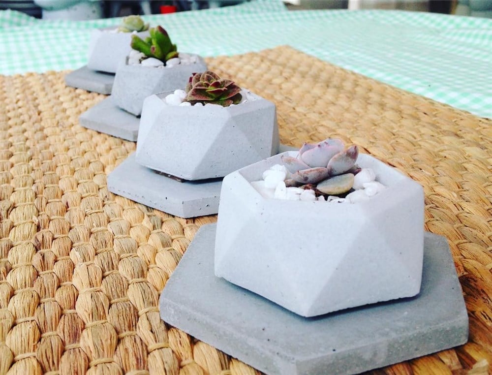 Beton Saksıda 4 Adet Altlıklı Mini Sukulent Set 