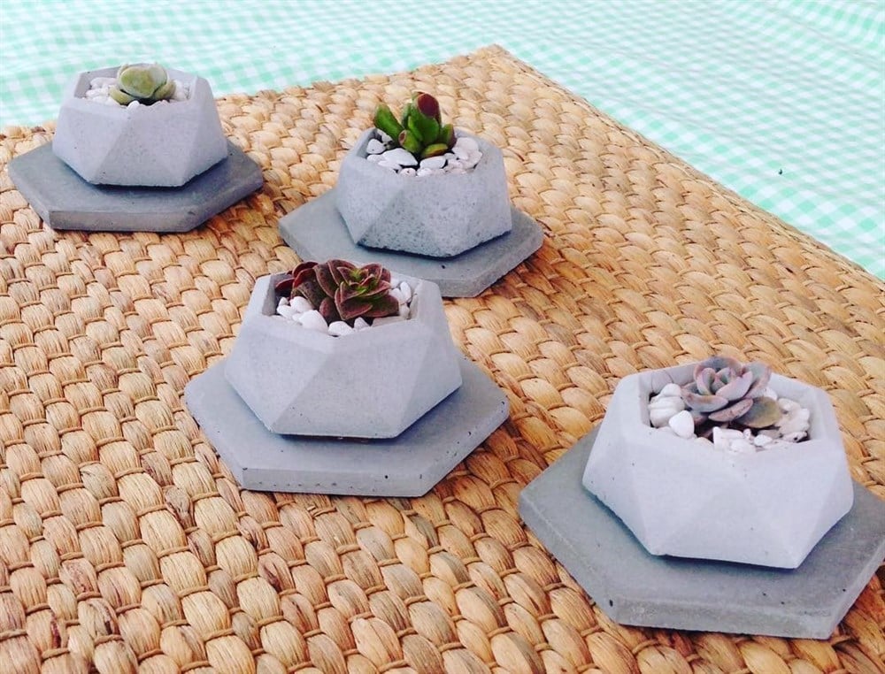 Beton Saksıda 4 Adet Altlıklı Mini Sukulent Set 