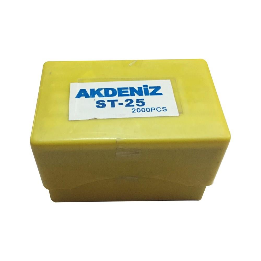 ST 25 T Başlı Çelik Çivi Kutu Ad. 2000