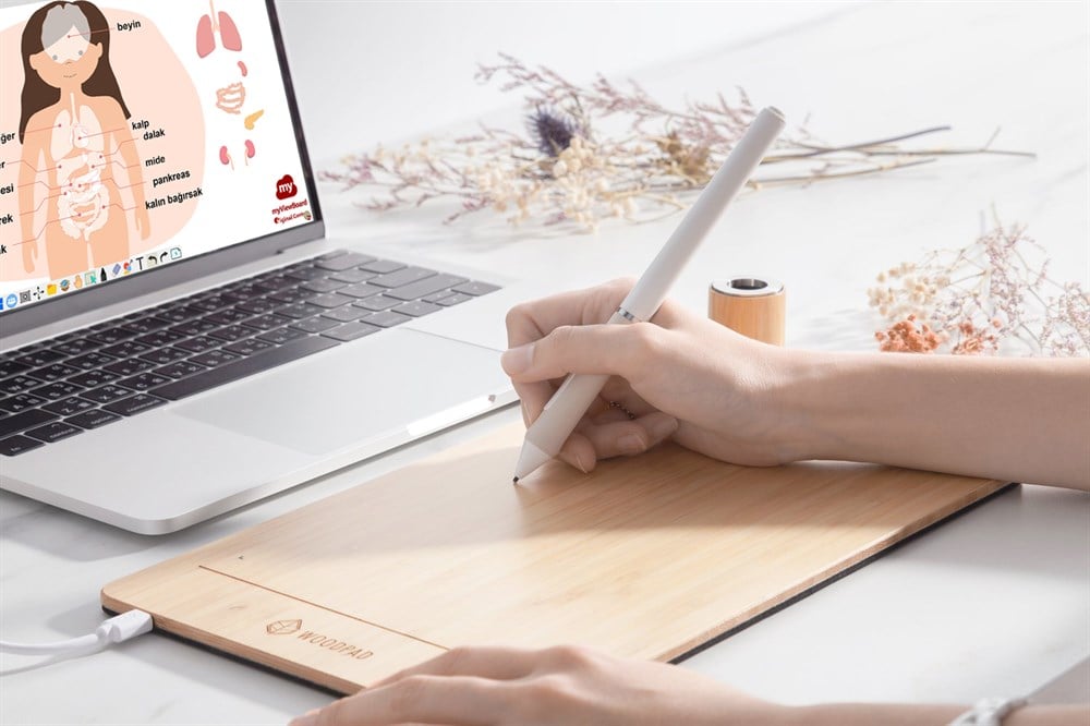ViewSonic Woodpad 10 Bambu Grafik Tablet