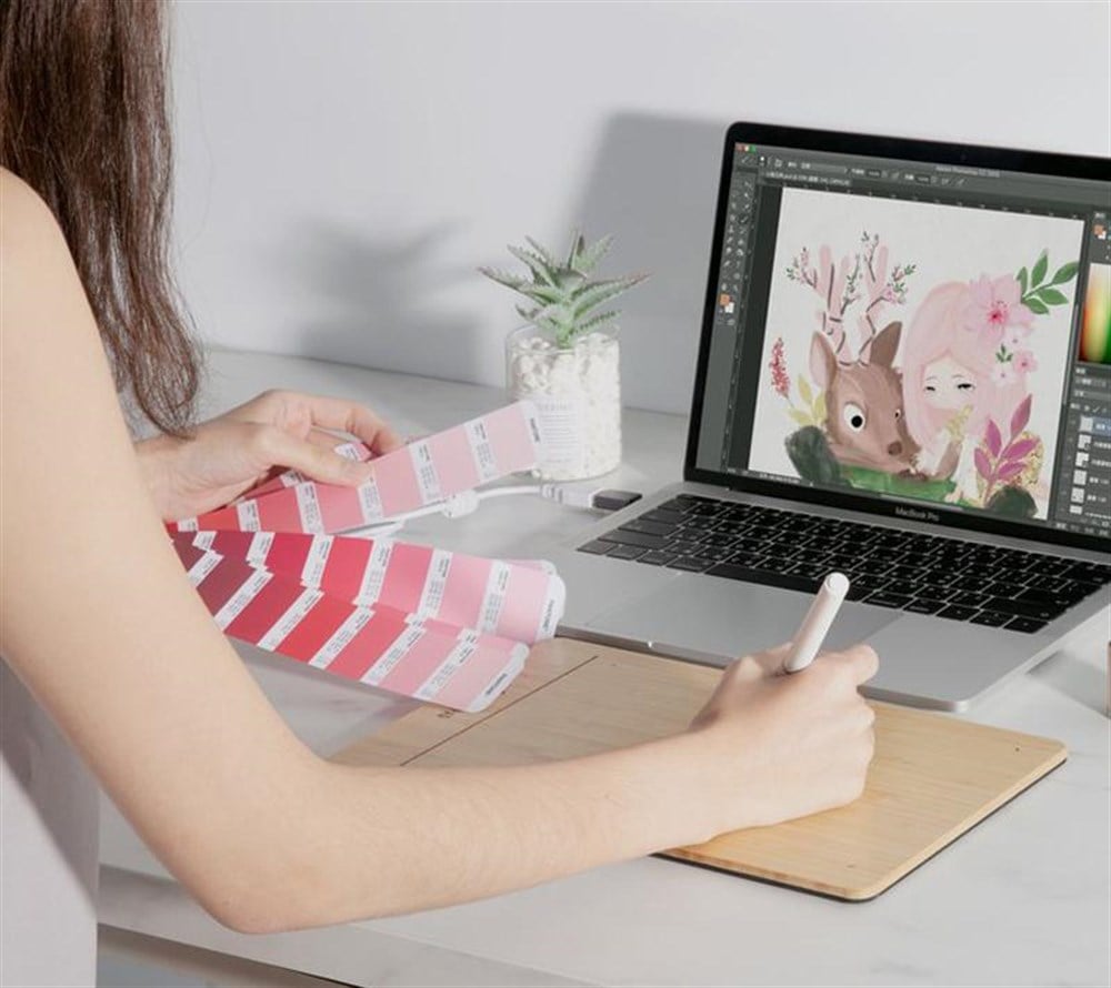 ViewSonic Woodpad 10 Bambu Grafik Tablet