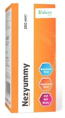 Nezyummy Şurup 200 ml