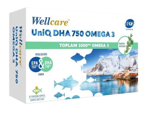Wellcare Omega 3 1000mg 30 Softgel