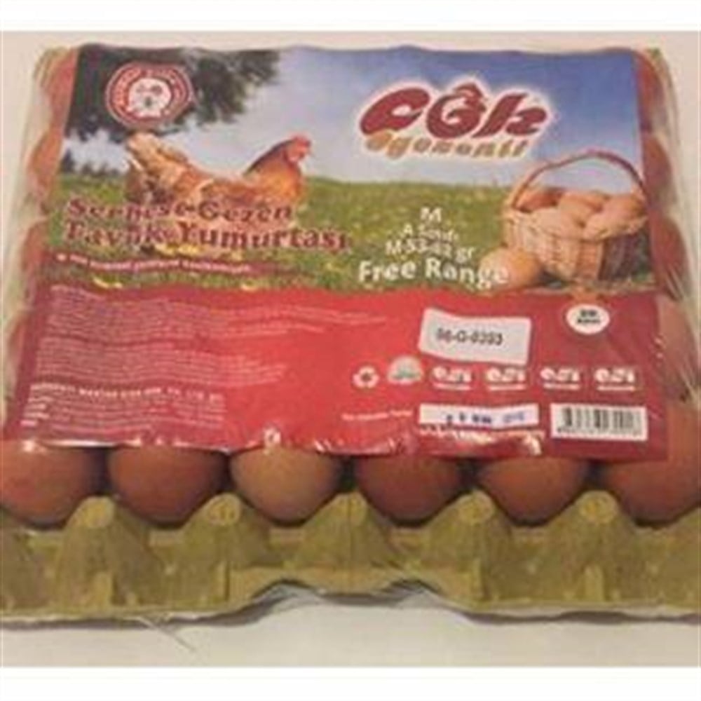 COK GEZENTI 30 LU YUMURTA