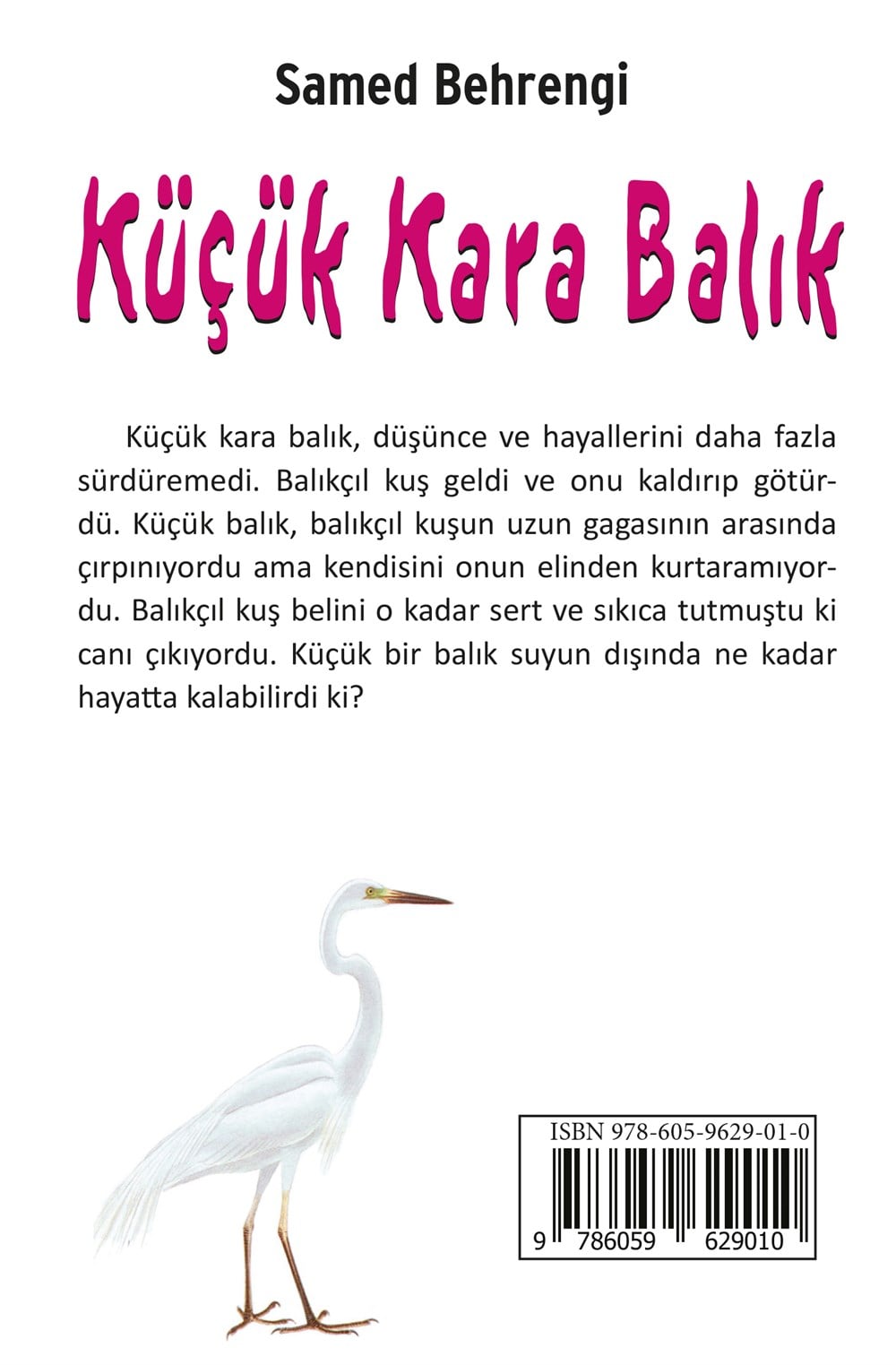 Küçük Kara Balık