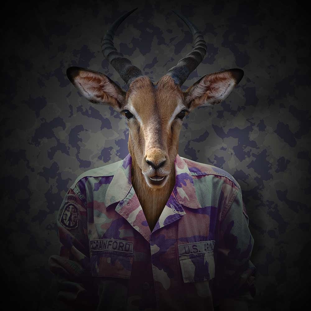 Antilop 70x70cm Pano Baskılı Kumaş