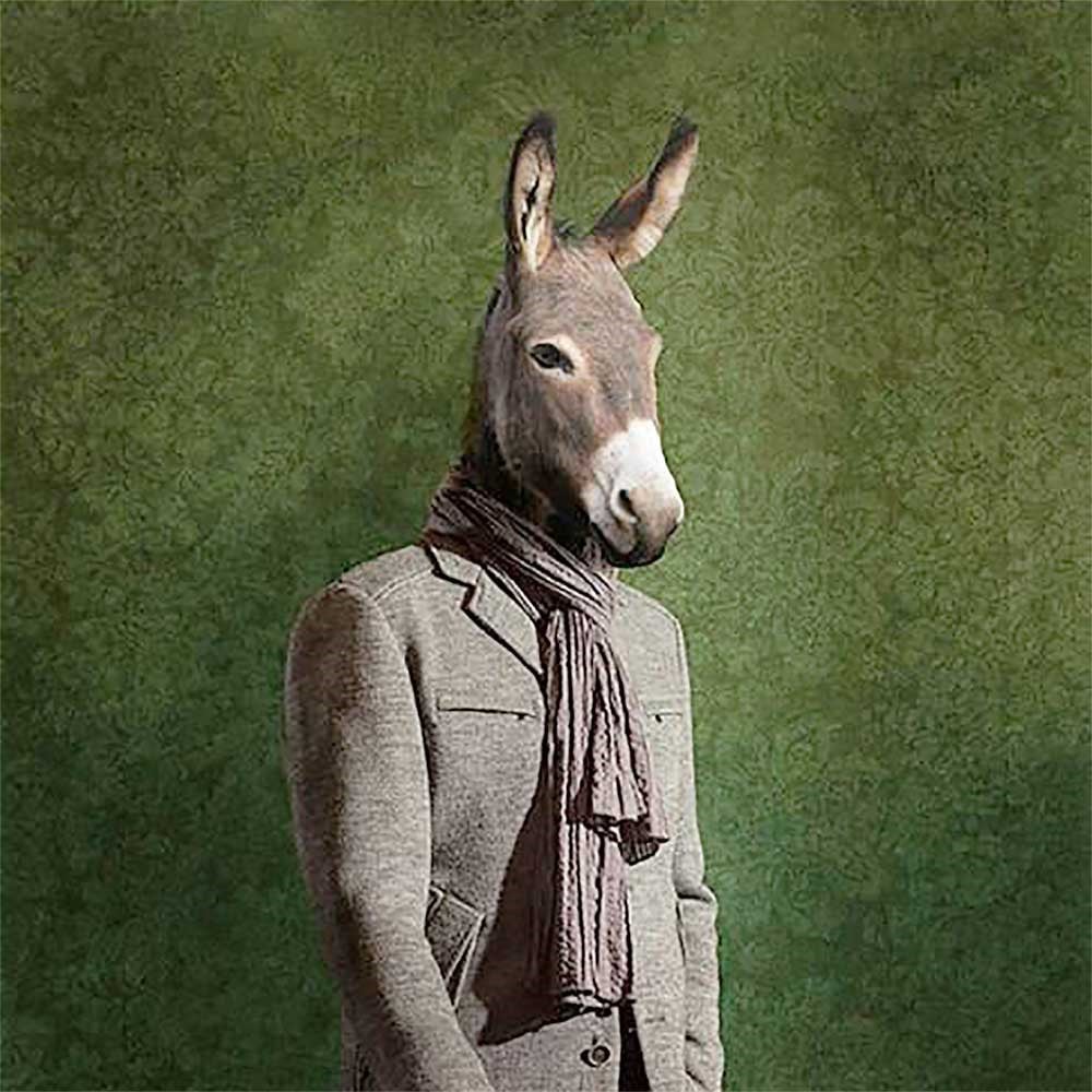 Eşek 70x70cm Pano Baskılı Kumaş