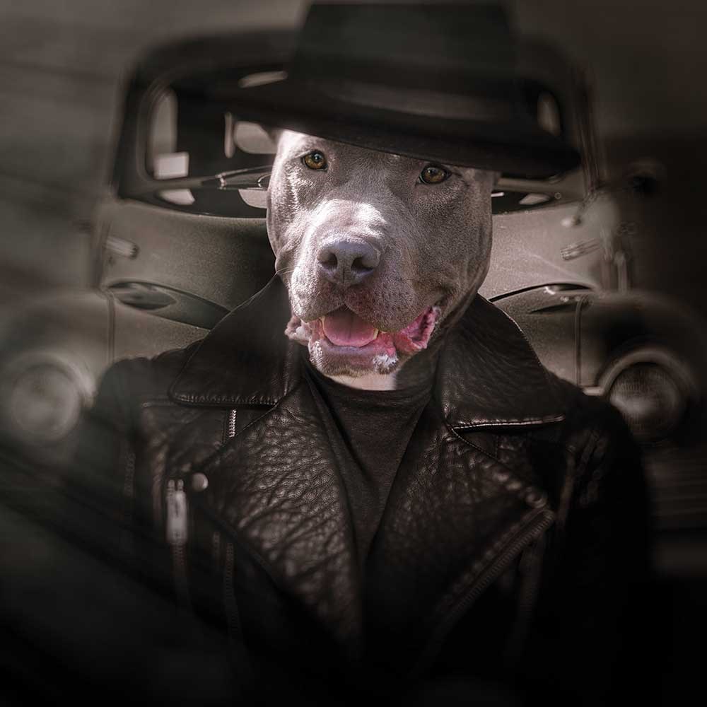 Köpek 70x70cm Pano Baskılı Kumaş