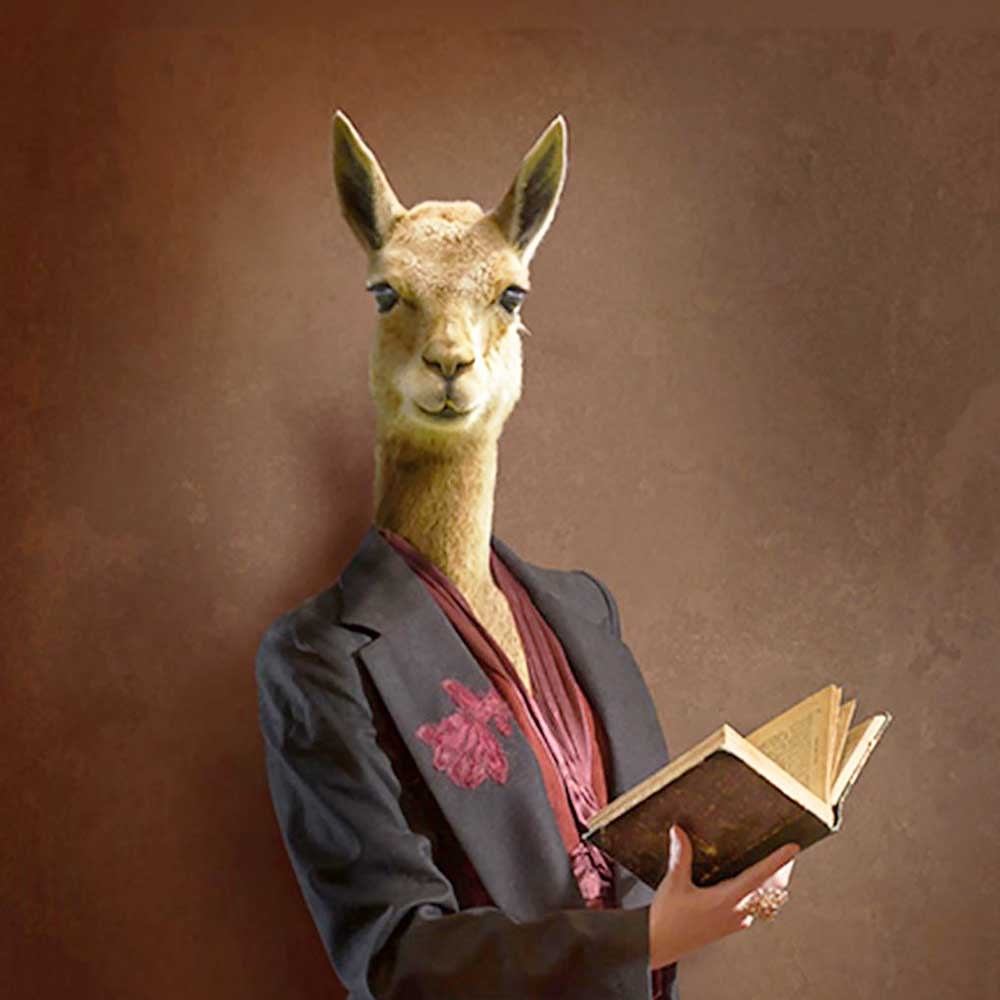 Lama 70x70cm Pano Baskılı Kumaş