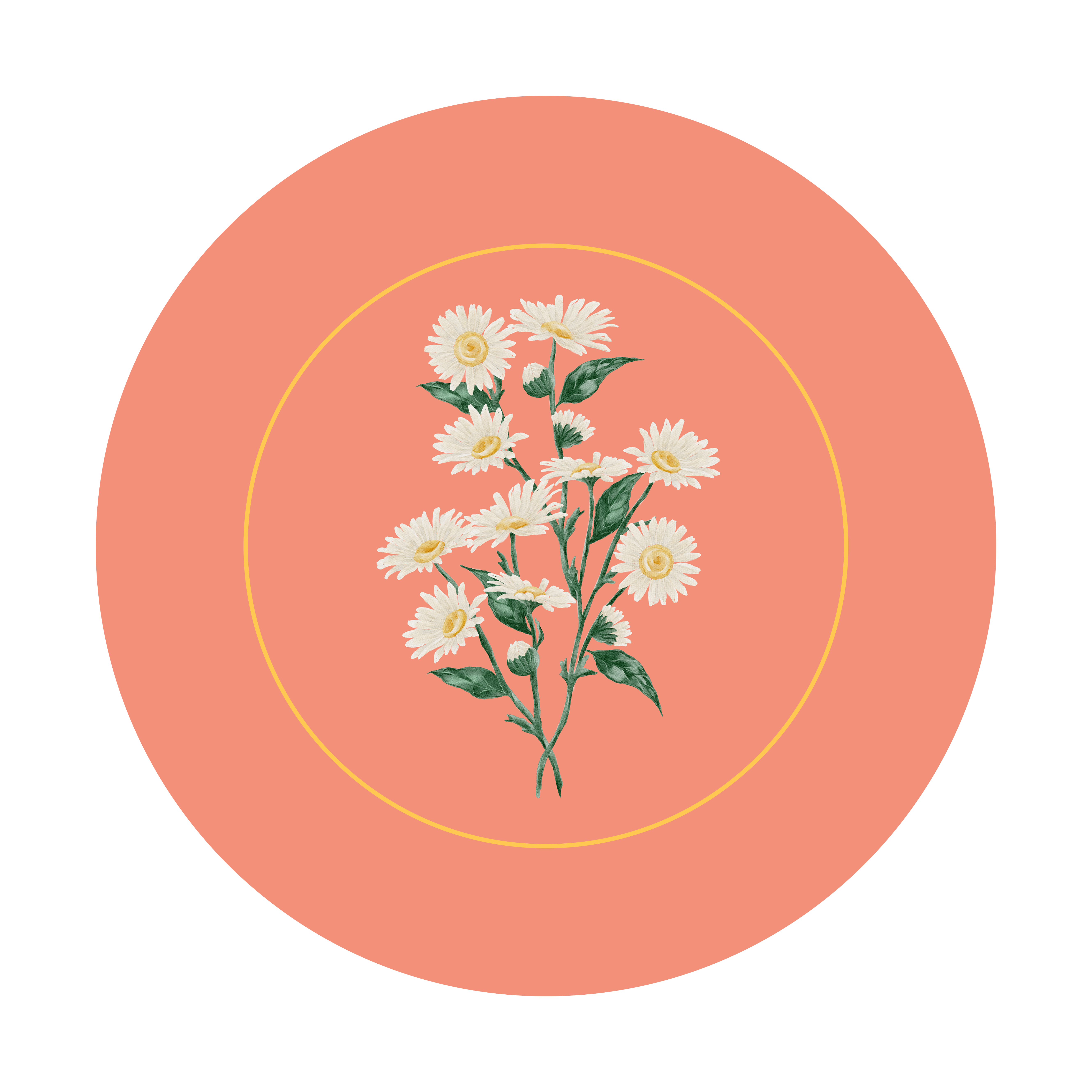 Vintage Garden Papatya Desenli Dikişsiz 3'lü Supla Kumaşı