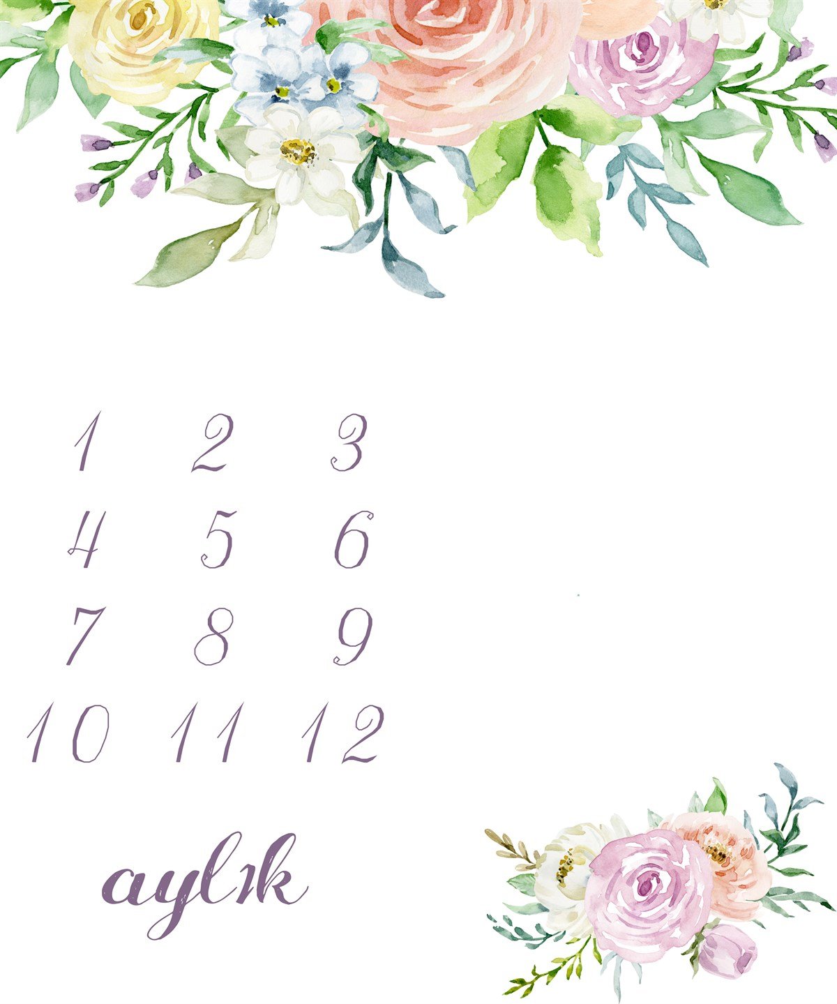 Milestone 5