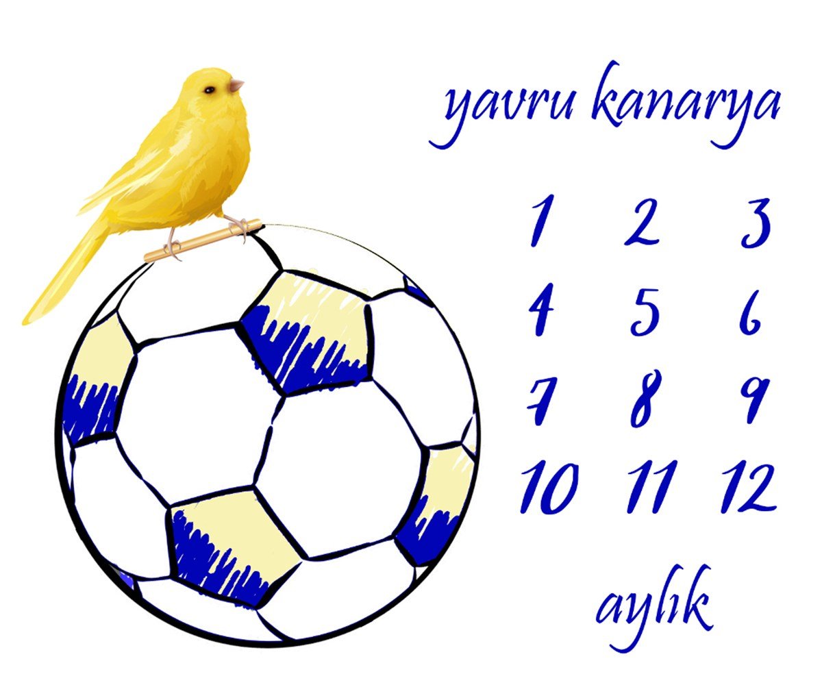 Milestone 8 Kanarya