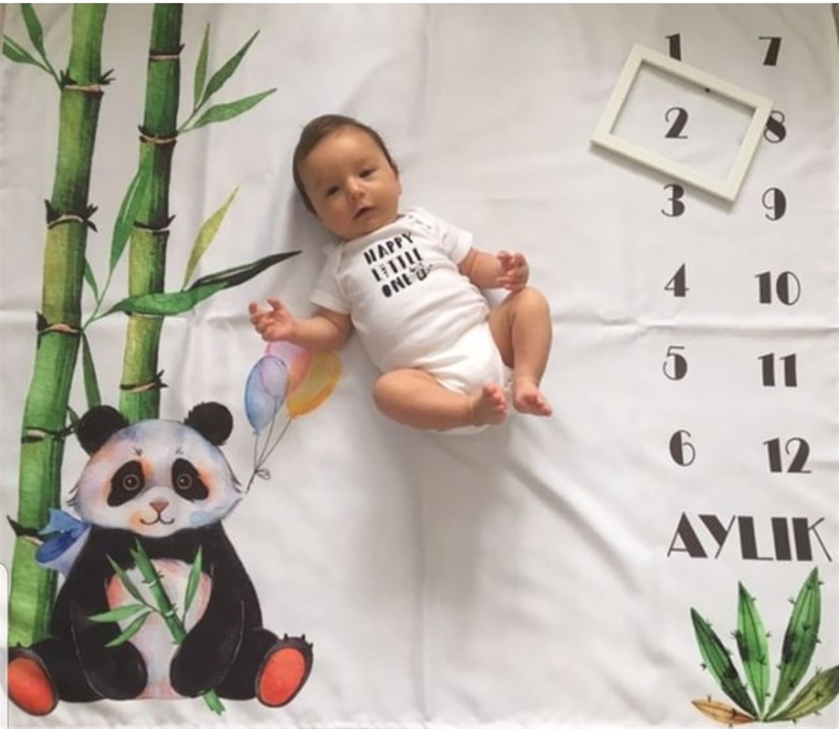 Sevimli Panda / Aylık Fotoğraf Örtüsü