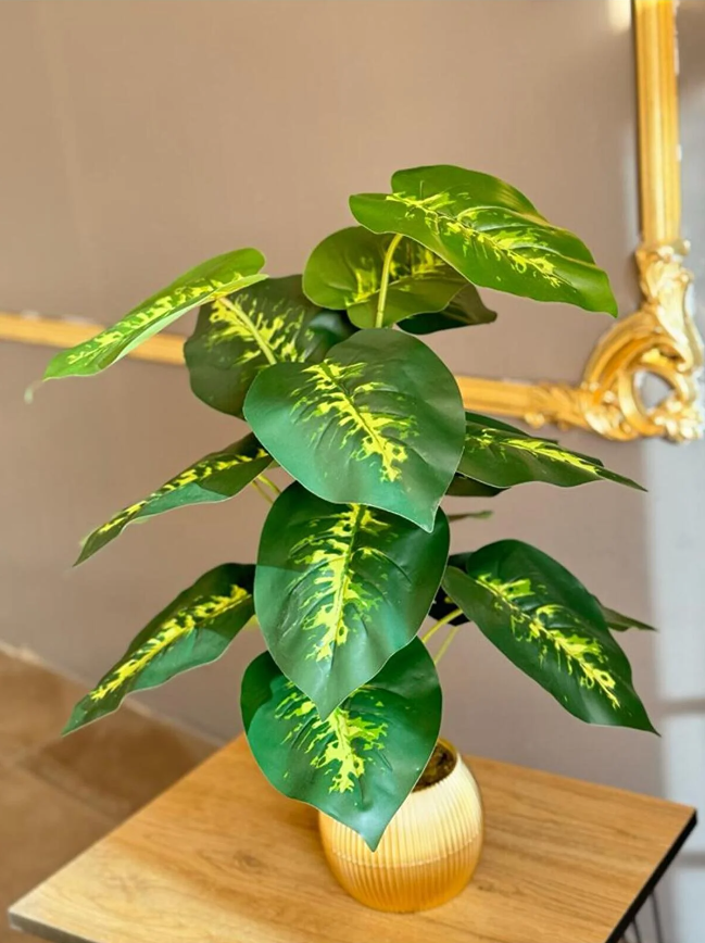  18 YAPRAKLI 70 CM DİFENBAHYA SALON ÇİÇEĞİ
