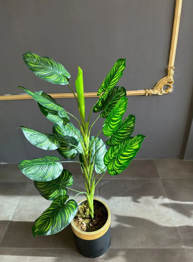  Orta Difenbahya Ağaç 125 CM 15 YAPRAK