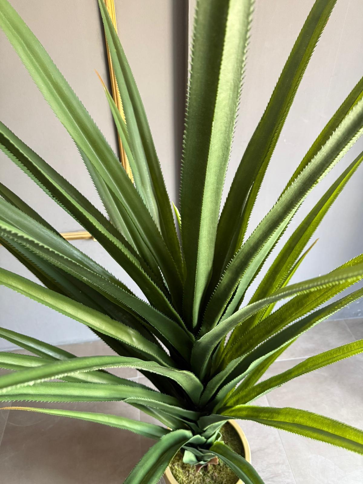 150 cm Yapay Aloe Vera Ağacı