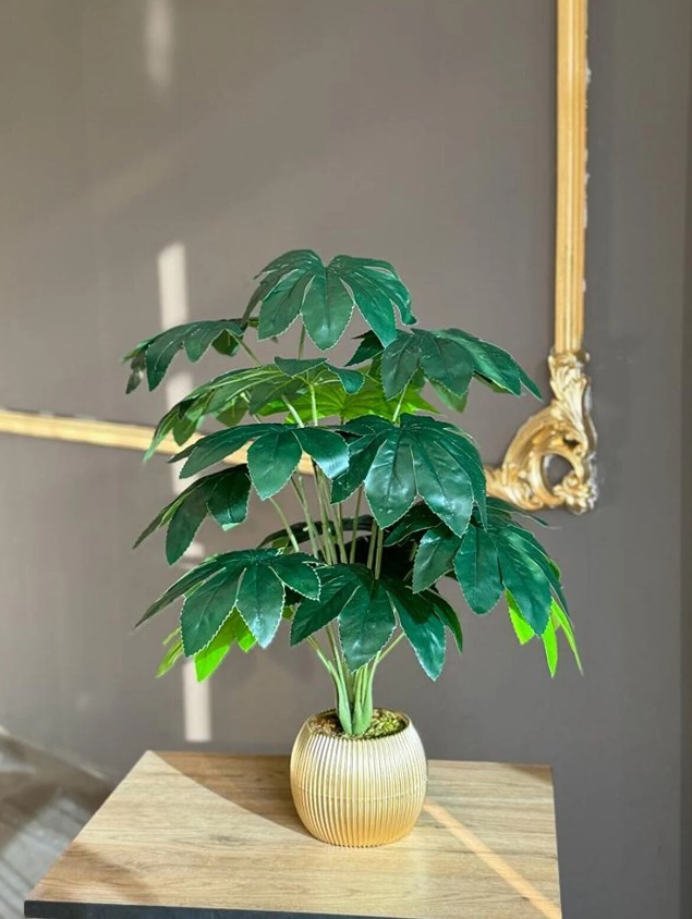 18 Yapraklı Deve Tabanı Çiçek Salon Çiçeği 70 Cm