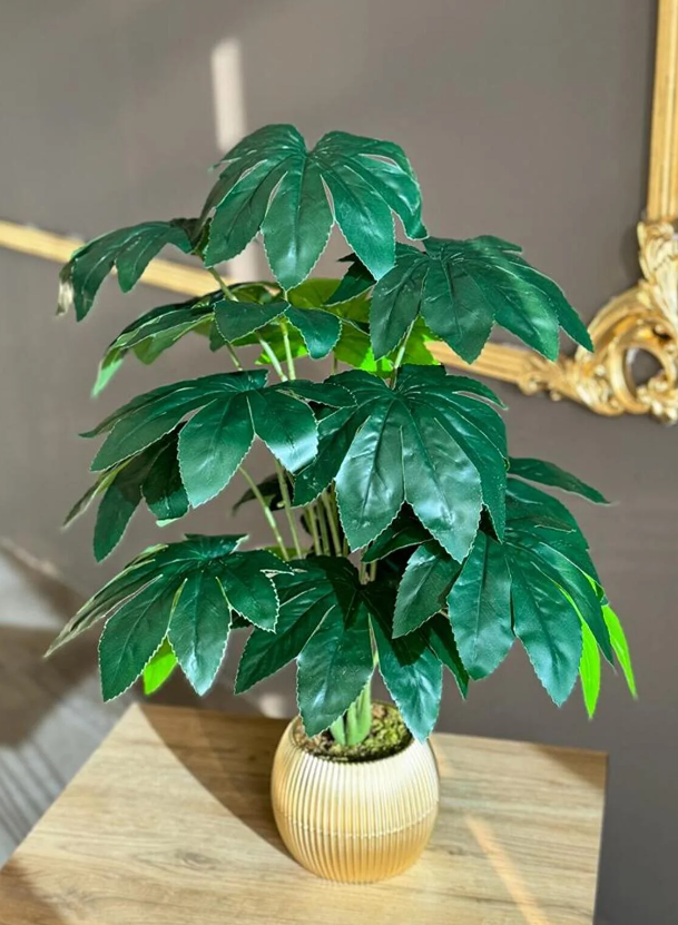 18 Yapraklı Deve Tabanı Çiçek Salon Çiçeği 70 Cm