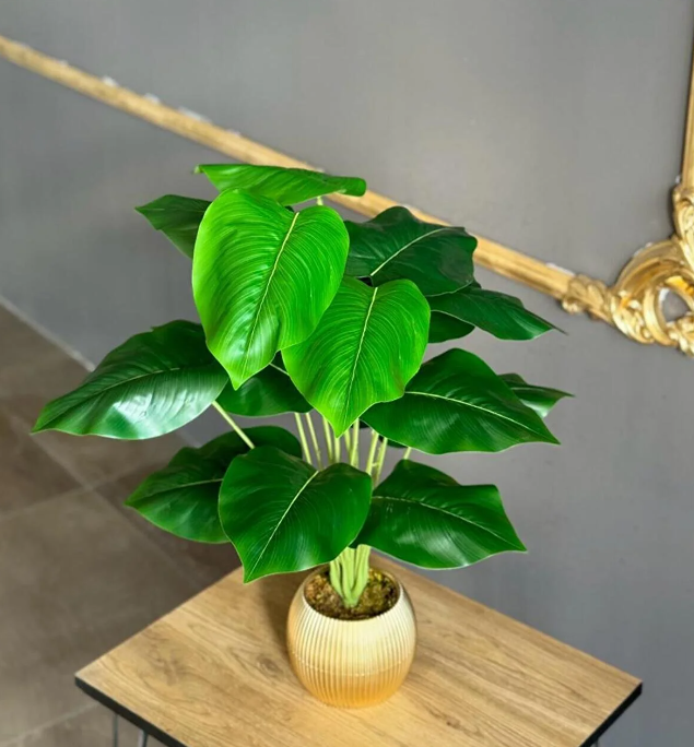 18 Yapraklı Difenbahya Salon Çiçeği 70 Cm