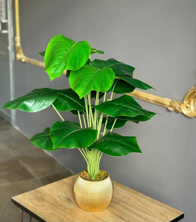 18 Yapraklı Difenbahya Salon Çiçeği 70 Cm