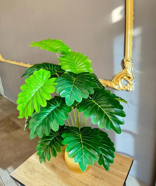 18 Yapraklı Syngonium Çiçek Salon Çiçeği 70 Cm