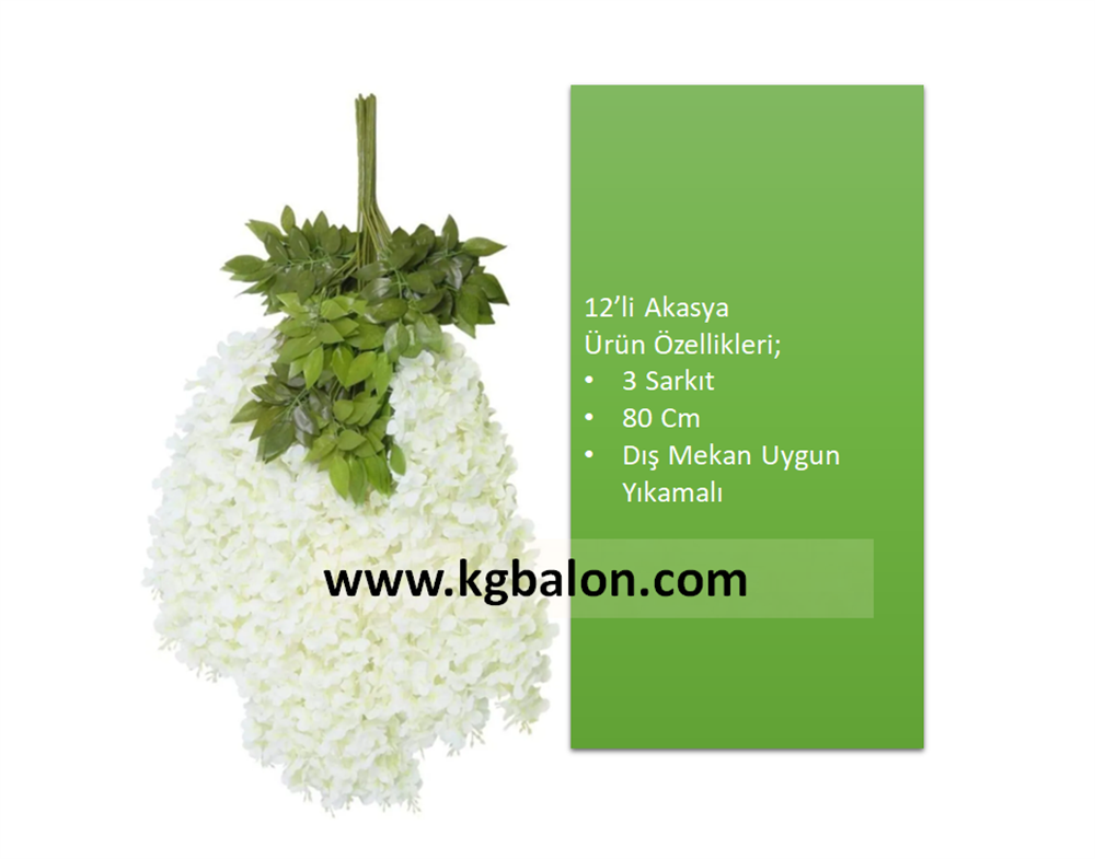 Dekoratif 12'li Akasya 