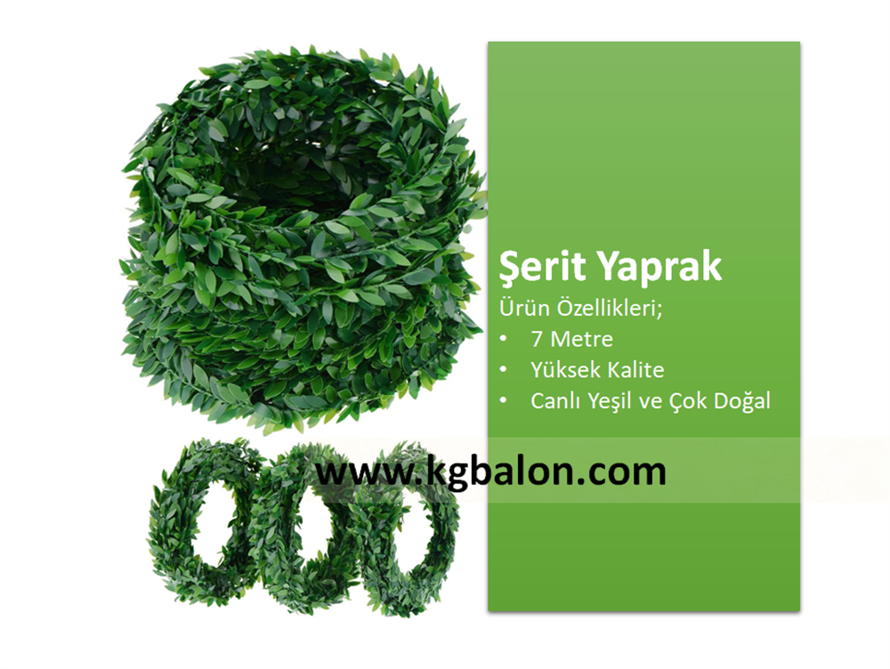 Dekoratif Şerit Yaprak 