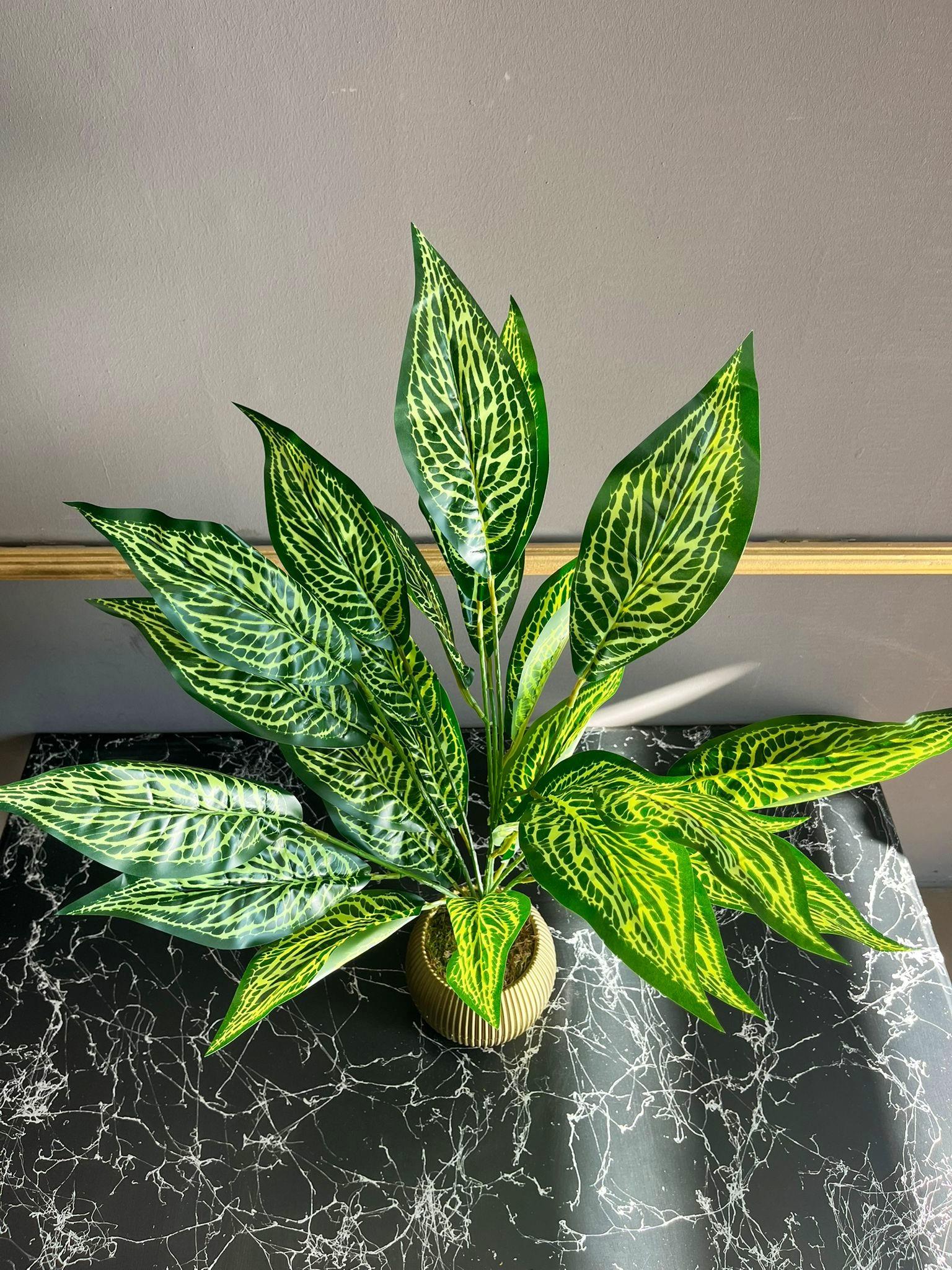 Yapay Yeşil Kraton Petra Bitkisi 70 cm