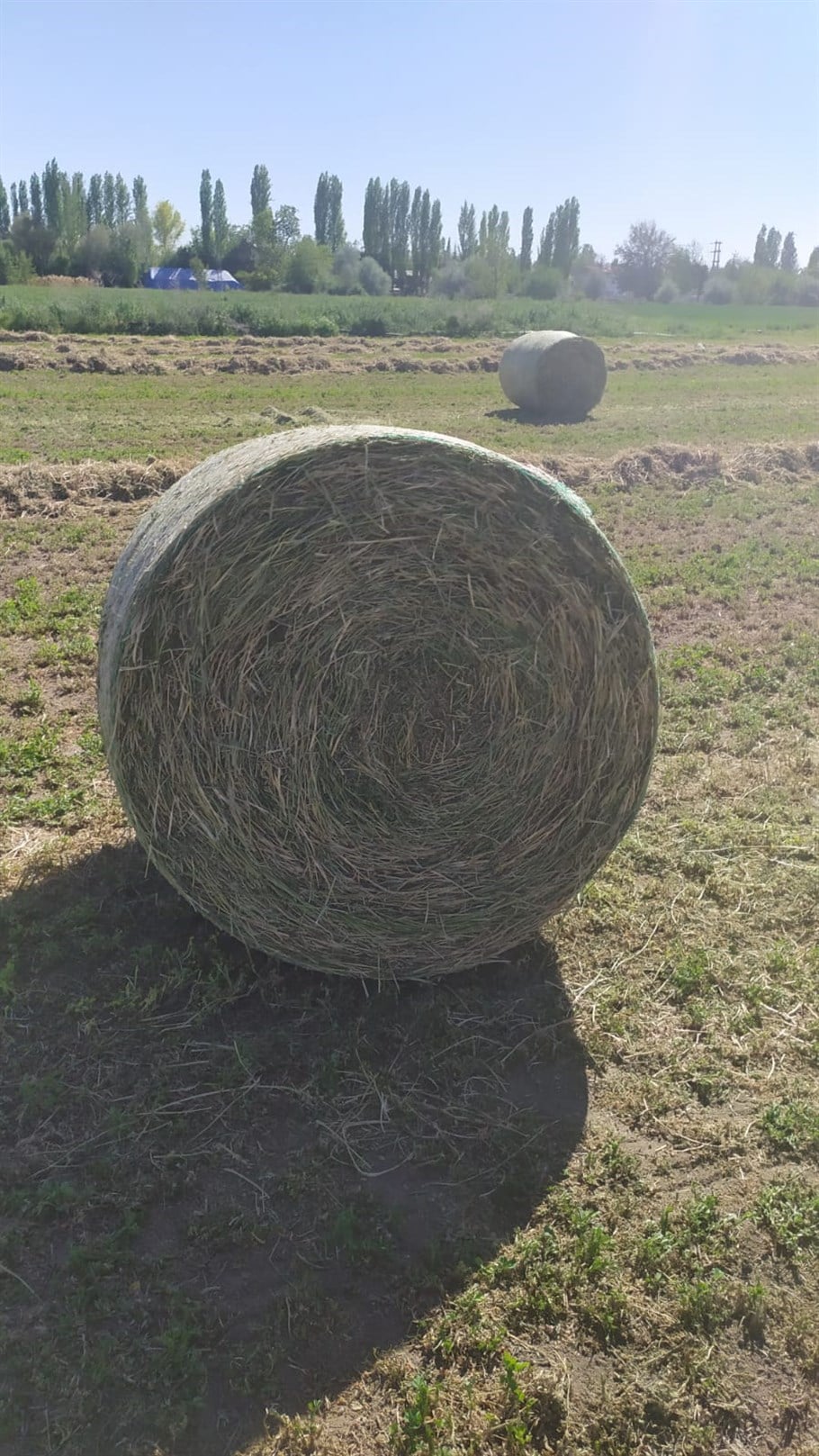 RULO BALYA MAKİNASI