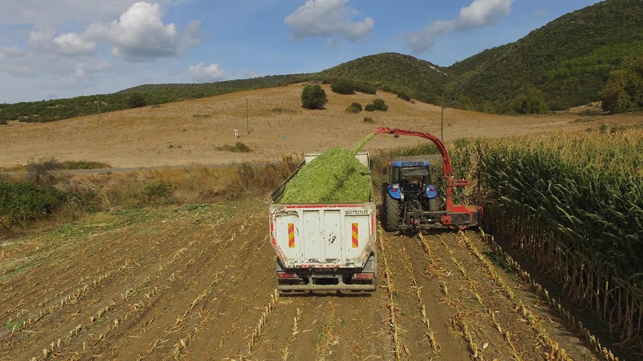 Sıra Bağımsız Silaj Makinesi