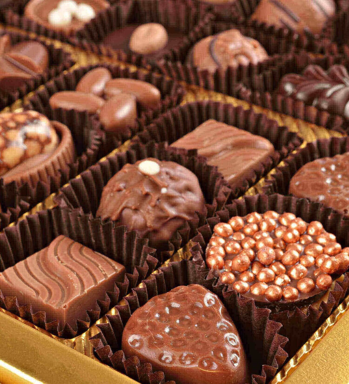 Cool Man Gri Şapkalı Teddy Spesiyal Çikolata 42'li