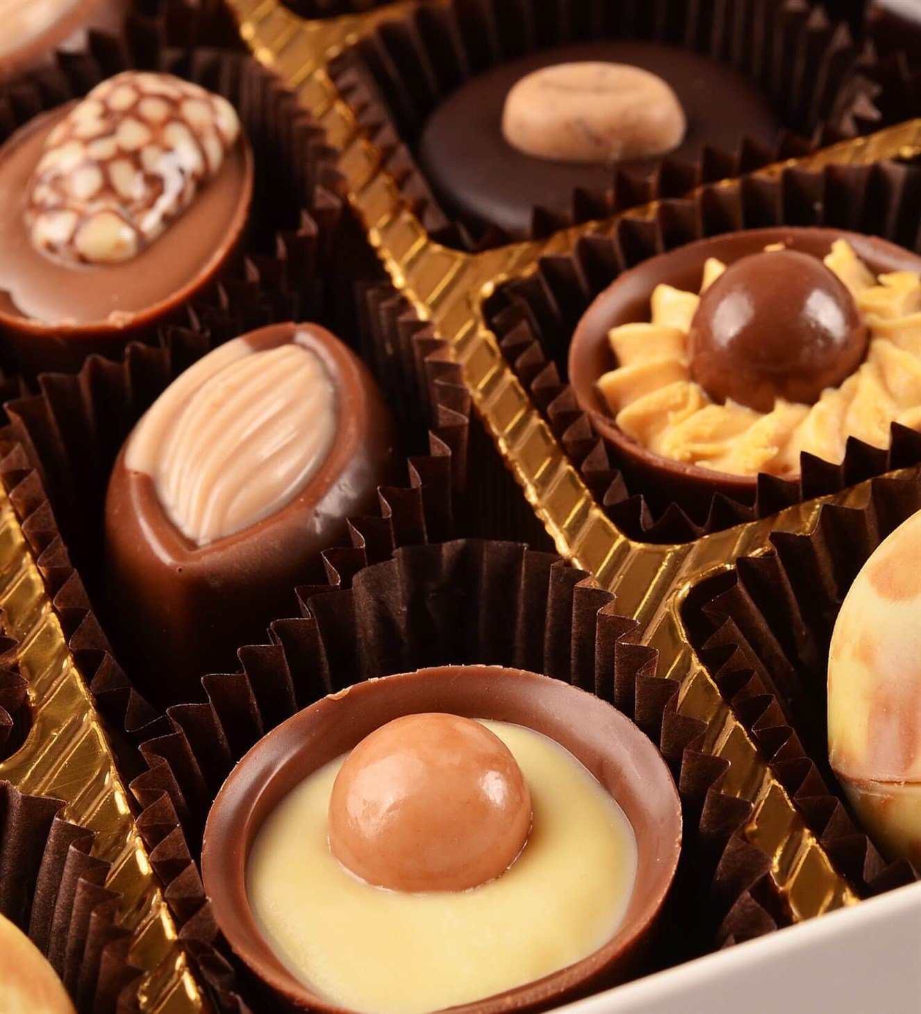 Cool Man Gri Şapkalı Teddy Spesiyal Çikolata 25'li