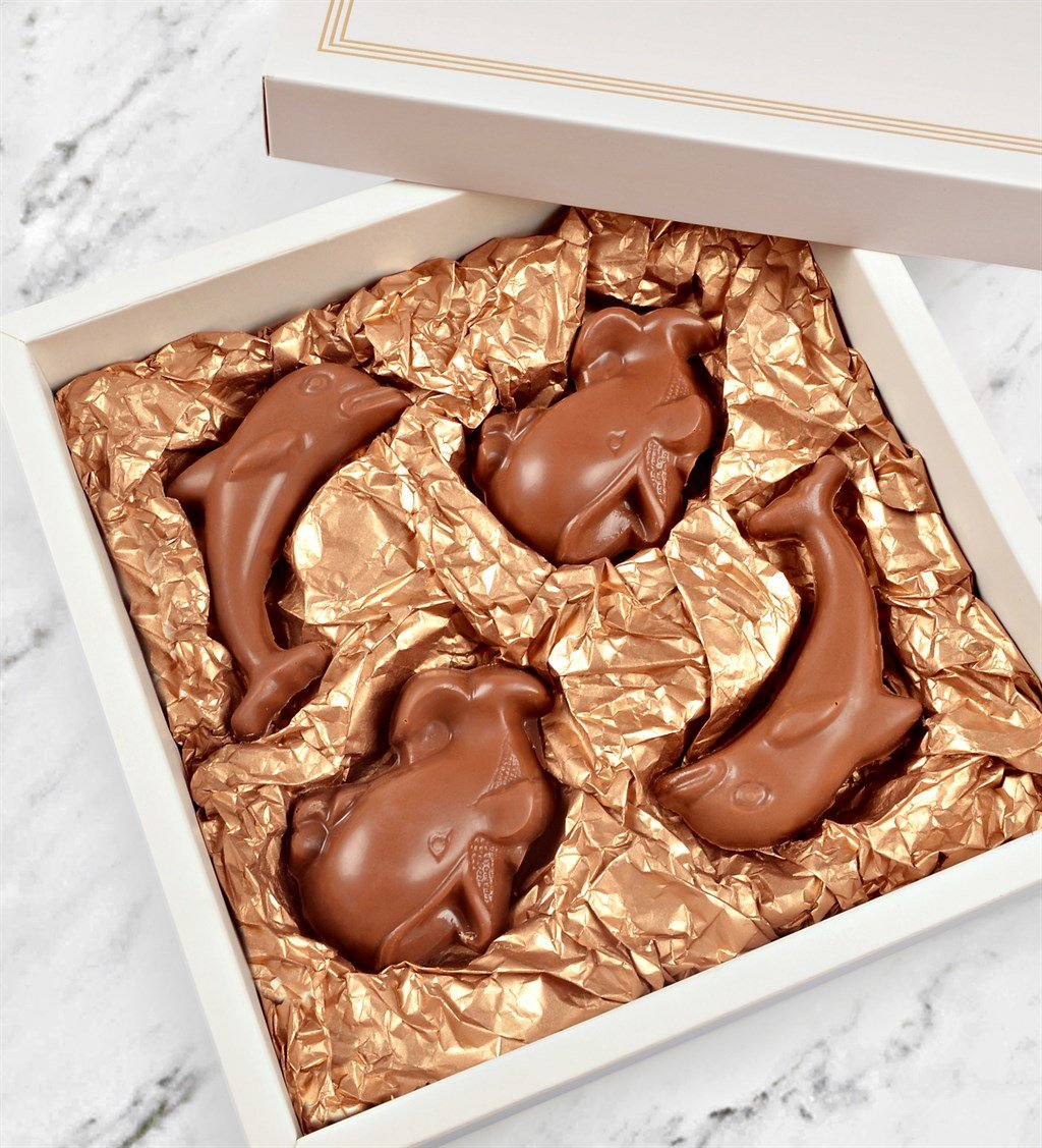 Yunus Balıkları Çikolatası