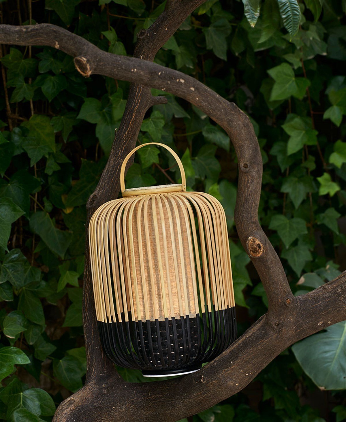 TAKE A WAY M SİYAH ŞARJLI MASA LAMBASI