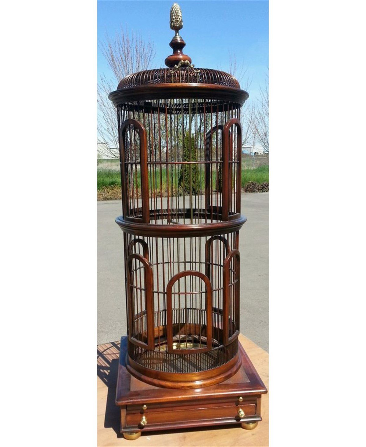 THEODORE ALEXANDER UZUN KUŞ KAFESİ