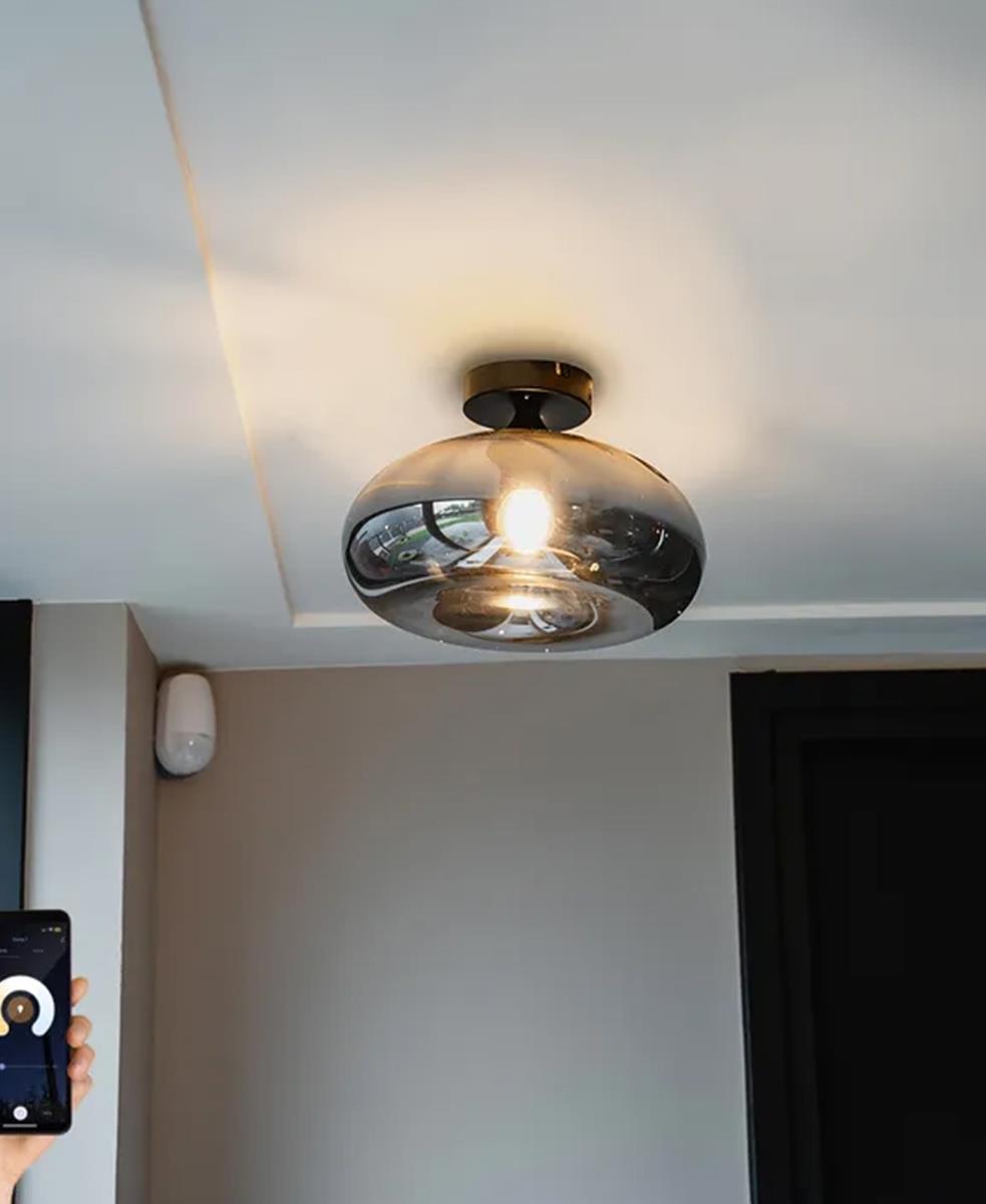 Zepp Büyük Boy Füme Aplik-Plafonyer