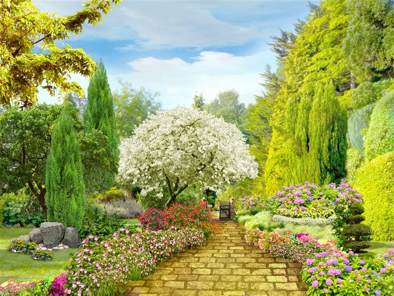 Doğa Manzaralı Duvar Kağıdı-19