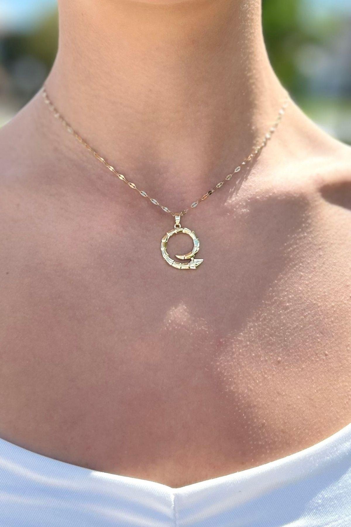 Çelik Yılan Figürlü Döngü Kolye