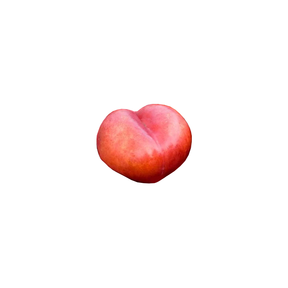  Japon Nektari ( 500 Gr)