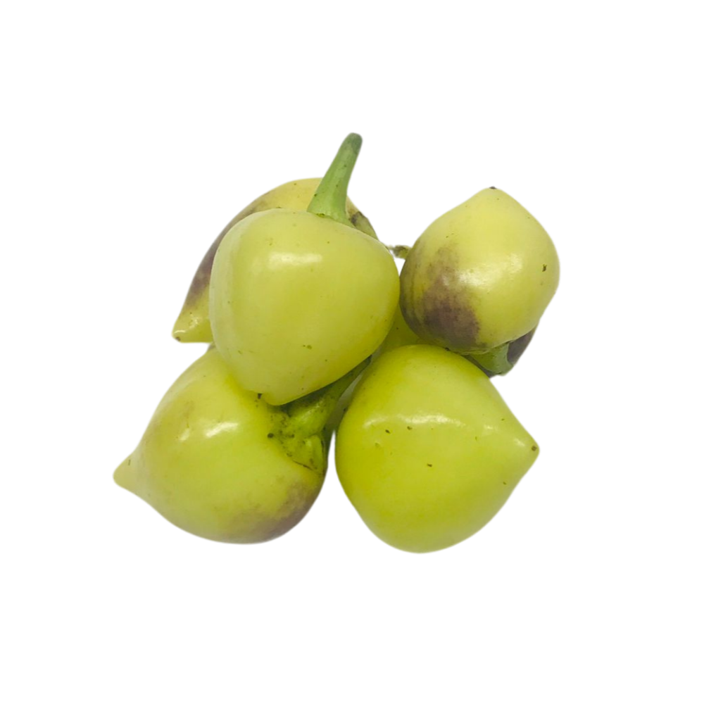 AcıTurşuluk Tombul Biber (Kg)