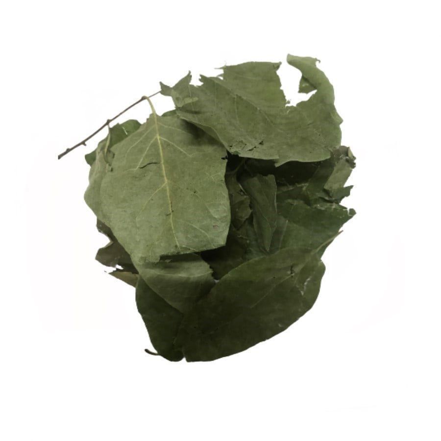 Ayva Yaprağı (20 Gr )