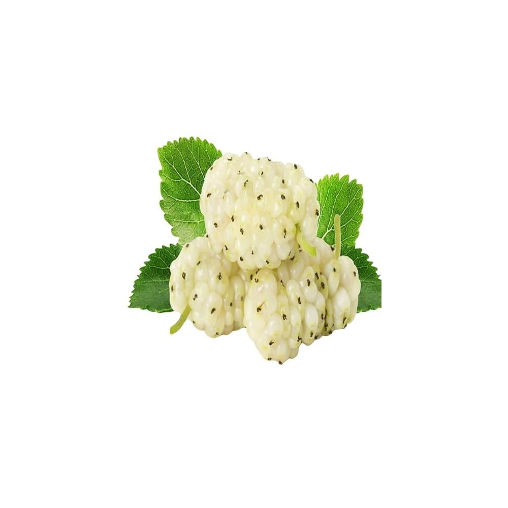 Beyaz Dut (500 Gr)