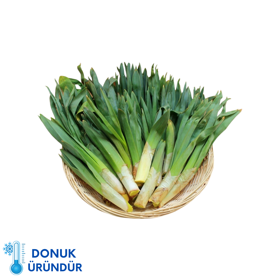Çiriş Otu  Dondurulmuş (Kg)