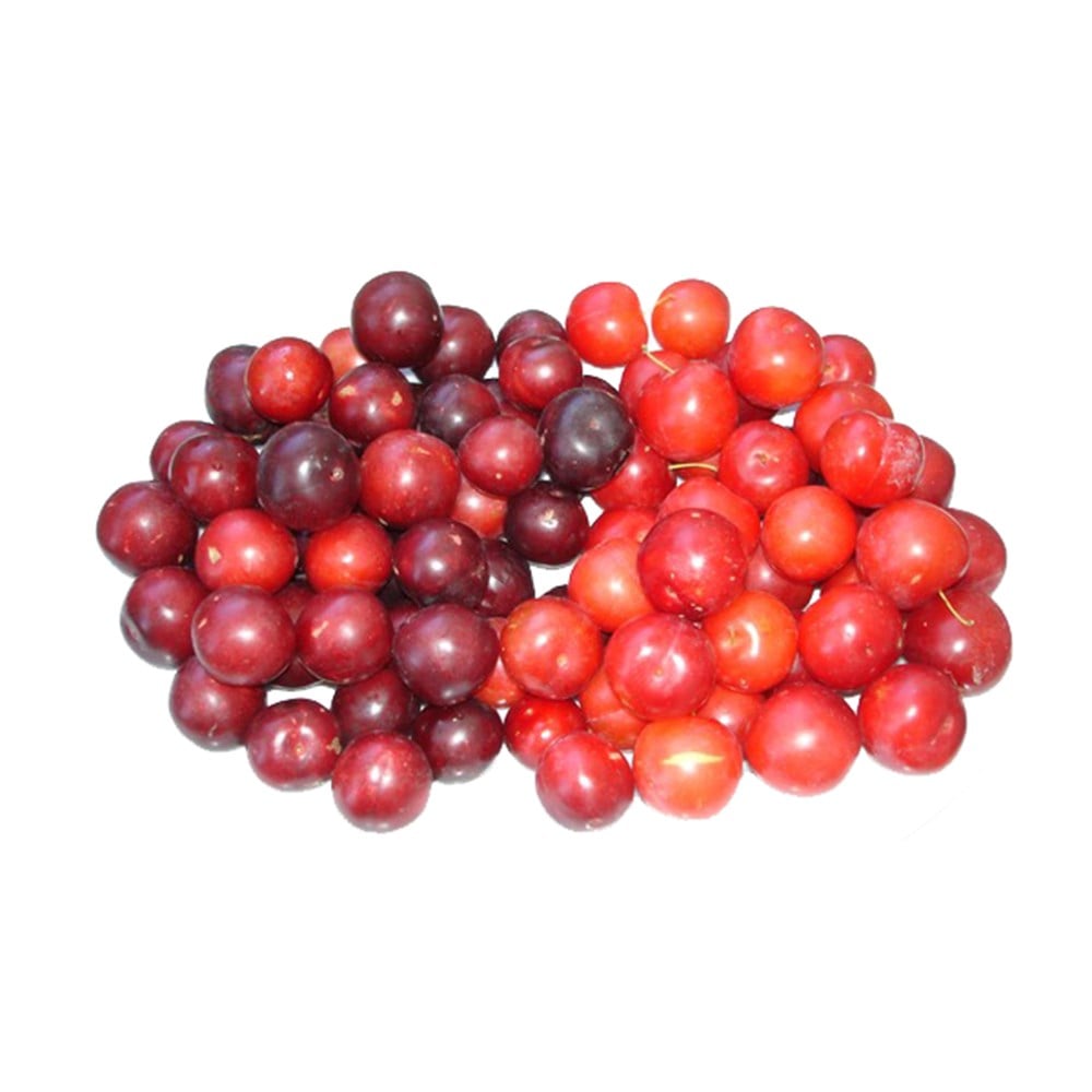 Dağ Eriği (500 Gr)