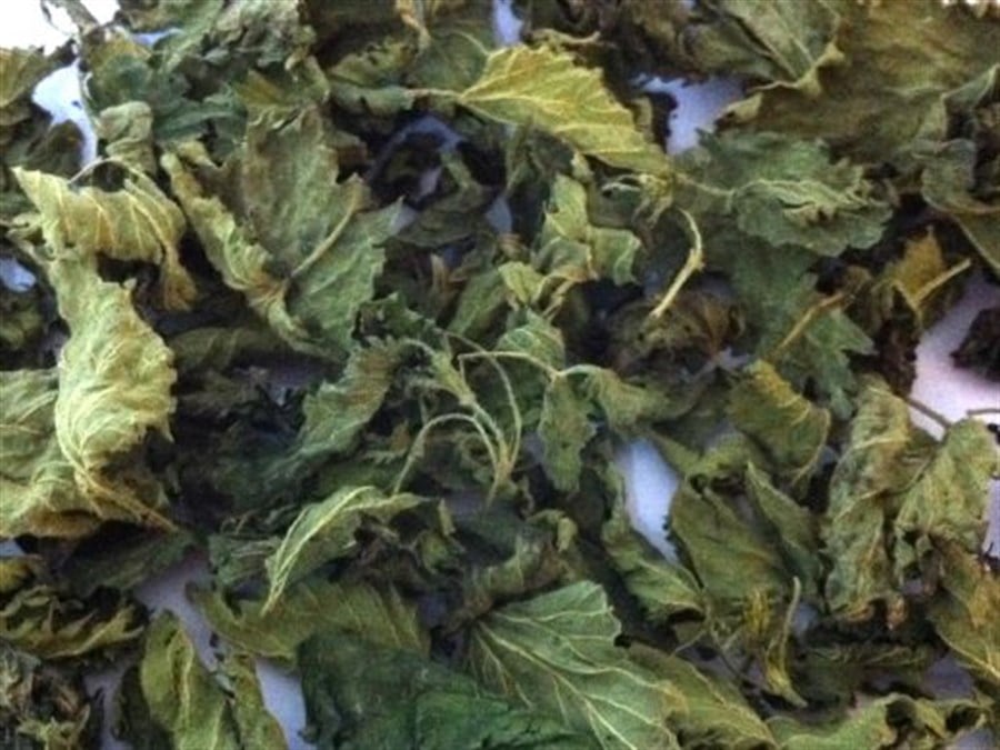 ısırgan Yaprağı  (100 Gr ) 
