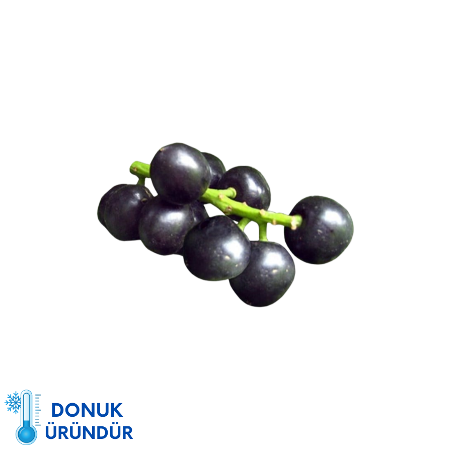 Karayemiş Dondurulmuş (750 gr)