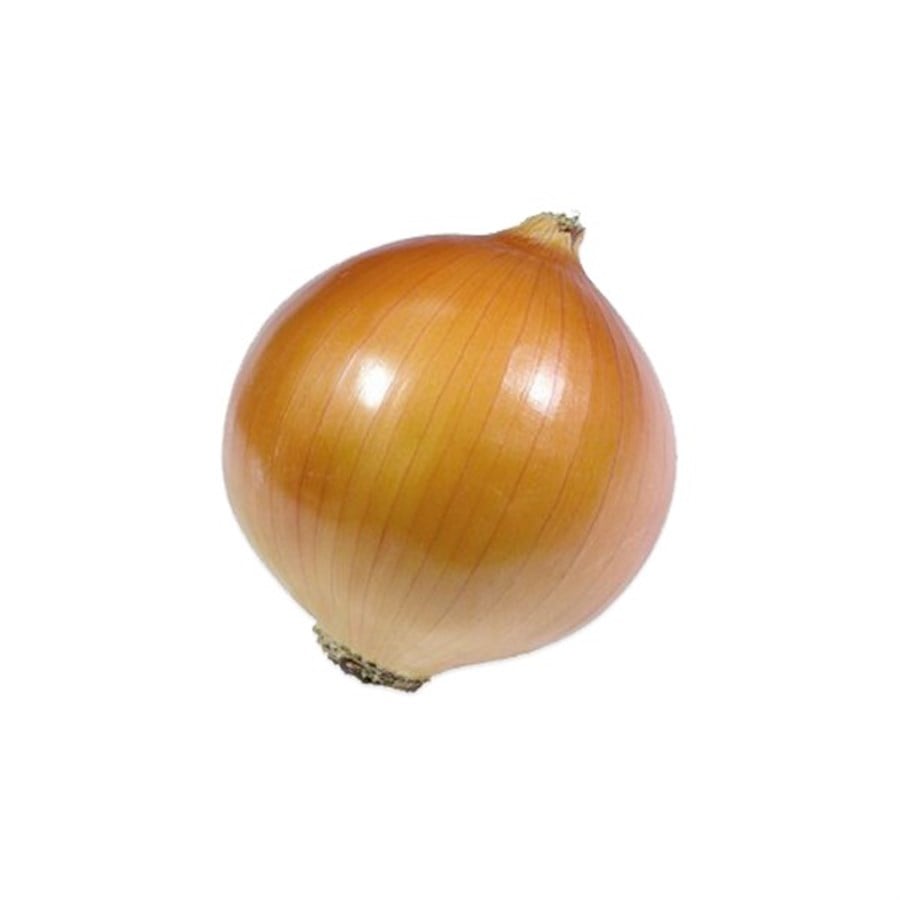 Kuru Soğan (Kg)