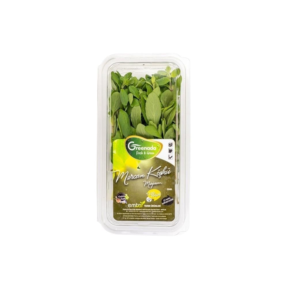 Mercan Köşkü (25 Gr)