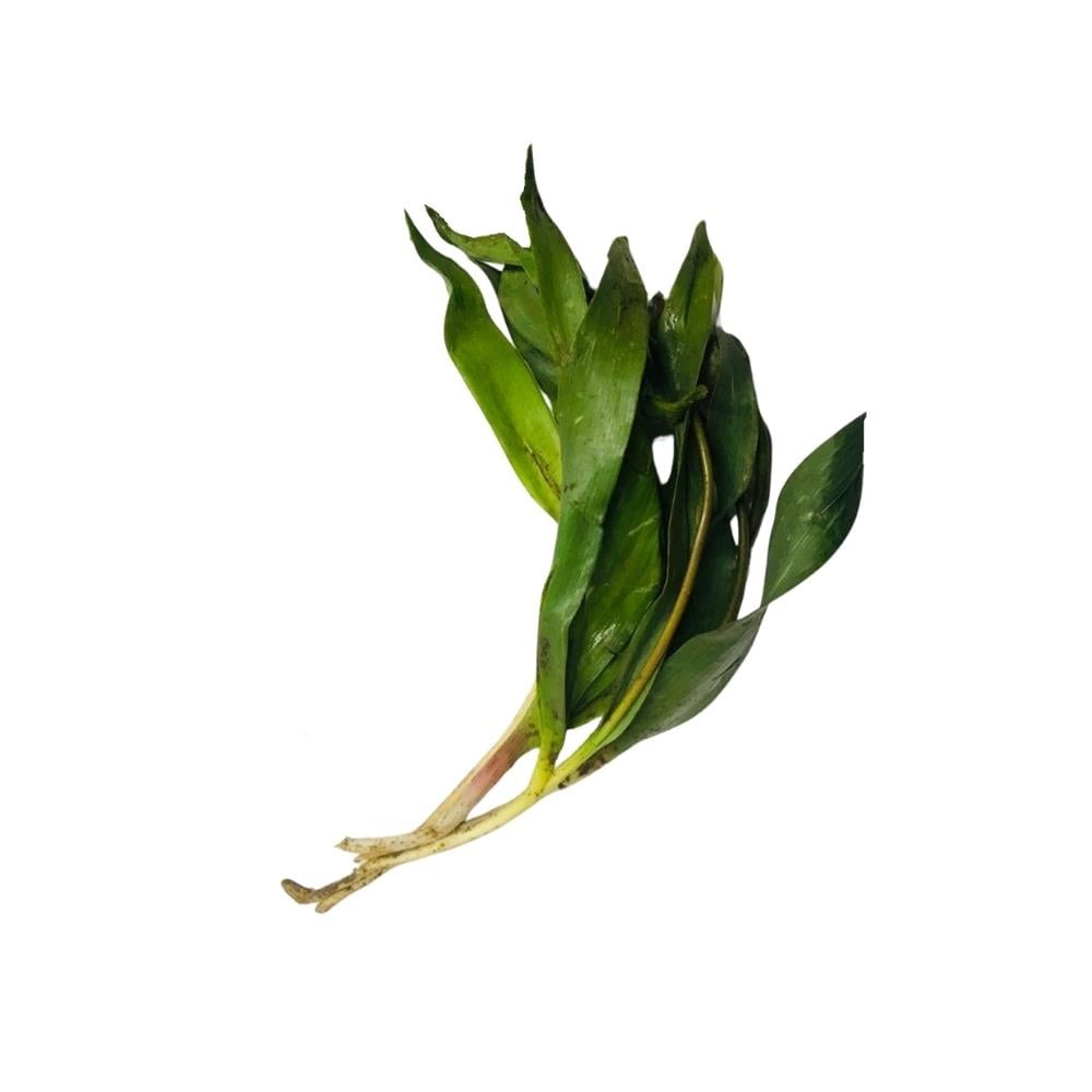 Soryaz Otu (Kg)