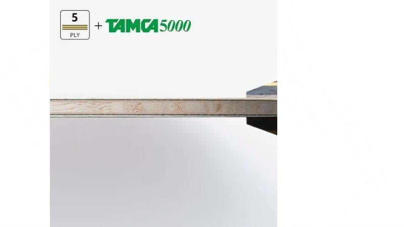 Butterfly Zhang Jike T5000